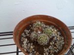 Imagen026.jpg