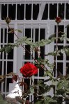 image0009.jpg