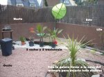 jardin trasero.jpg