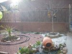 jardin trasero2.jpg