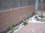 jardin trasero3.jpg