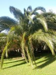 DSCN4767.JPG