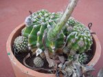 DSC01254.JPG