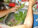 En la cocina 1.jpg