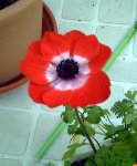 PICT0030.jpg