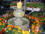 plantas 012.1.JPG