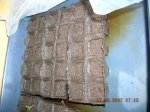 DSCN1098.JPG