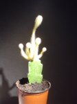 DSC08117.JPG