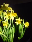 DSC08124.JPG