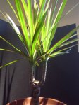 DSC08136.JPG