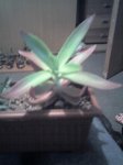 06-04-07_2303.jpg