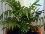 PICT0016.JPG