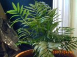 PICT0018.JPG