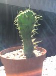 07-04-07_1213.jpg