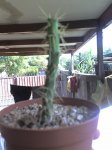 07-04-07_1215.jpg