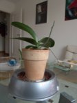 DSC02879.jpg