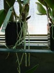DSC00942.JPG