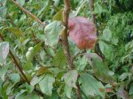 DSC04587.JPG