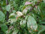DSC04588.JPG