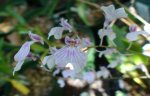 DSC00760.JPG