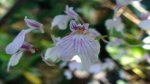 DSC00761.JPG