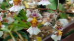 DSC00776.JPG