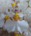DSC00799.JPG