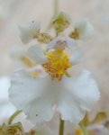 DSC00803.JPG