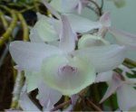 DSC00743.JPG