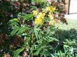 Dsc01669.jpg