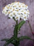 IMG_6124.JPG