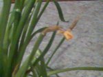 Imagen009.jpg