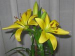 plantas21-5-06 013.jpg