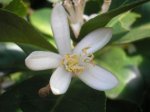 ultimodia028.jpg