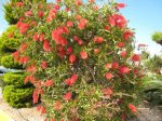 IMG_0056 copia.jpg