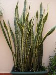 Febrero 2007 002.jpg