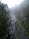 DSC01241.jpg