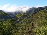 DSC01277.jpg