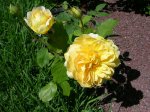 DSCN6225.JPG