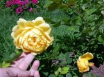 DSCN6227.JPG