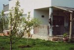 FOTO 3.jpg