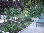 IMG_0113.jpg