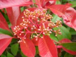 DSCN9643.jpg