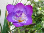 DSCN9440.jpg