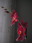 PICT0032.JPG