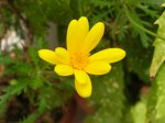DSCN2445.jpg