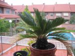IMG_3276.JPG