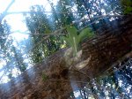 DSC00434.JPG