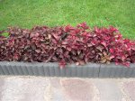 DSCN1717.jpg