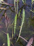 DSCN6359.JPG
